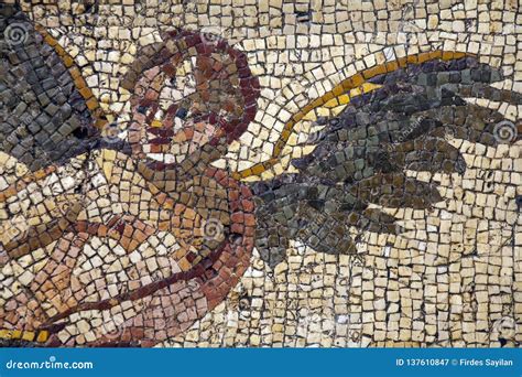 Antakya Mosaic Museum , Hatay, Turkey Editorial Photography - Image of ...