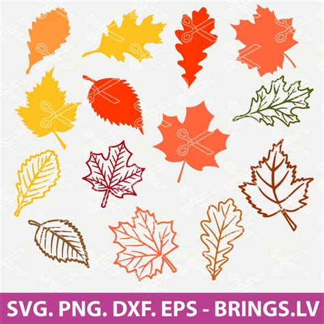 Fall Leaf SVG, Fall Leaf SVG Bundle, Fall Leaves SVG, Fall SVG, Fall ...