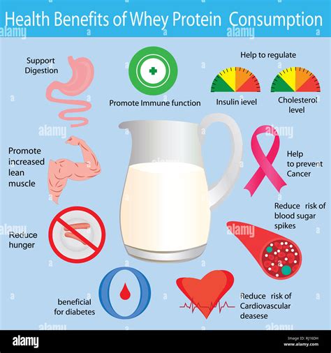 Health benefits of whey protein supplement product for bodybuilders ...