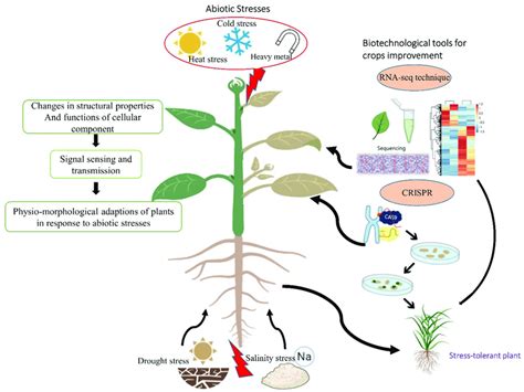 Schematic presentation of major abiotic stresses and biotechnological... | Download Scientific ...