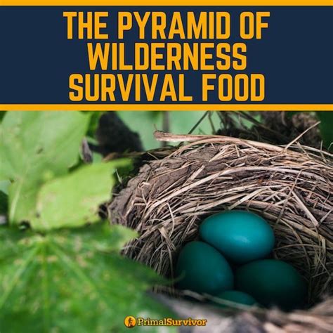 The Pyramid of Wilderness Survival Food | Survival food, Wilderness ...