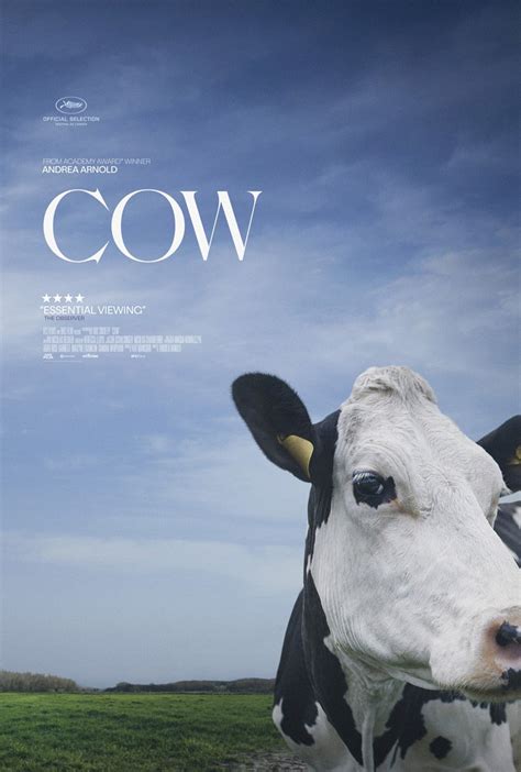 Official US Trailer for Andrea Arnold's Dairy Cows Farm Doc 'Cow' | FirstShowing.net