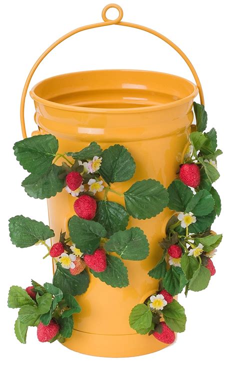 6 Best Strawberry Planters | Grow Green Food