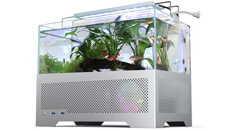 I know it's a bad idea, but I want this PC gaming fish tank | PC Gamer