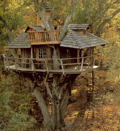 bensozia: Tree Houses