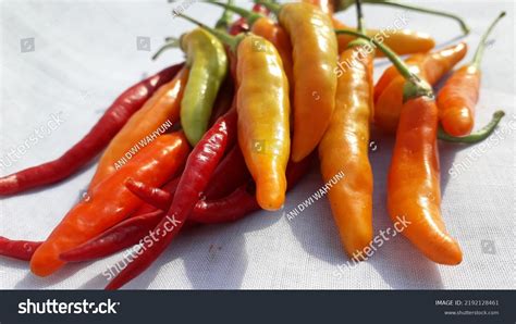 Hot Spicy Chilies Cabe Rawit Indonesian Stock Photo 2192128461 | Shutterstock