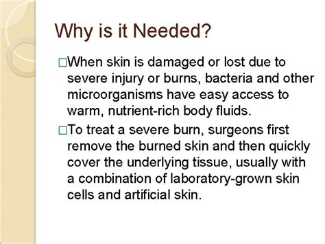 Artificial Skin By Simranjit Rekhi Functions of Skin