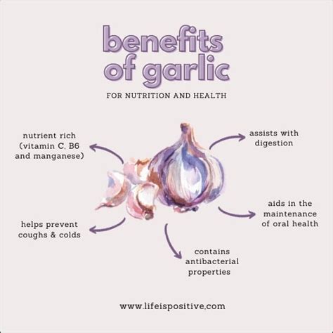 How 1 Garlic Clove A Day Benefits & Transforms Your Life - Life is Positive