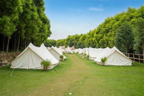 Premium Photo | The campsite in the forest is covered with tents