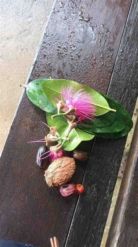 World Biodiversity Day 2023 – Caribbean Youth Environment Network (CYEN)