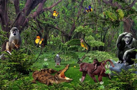 3D Forest Animals 010 Garage Door Mural | AJ Wallpaper