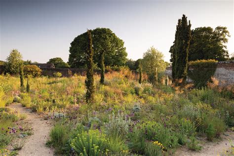 Rewilding minds: discover the remarkable Walled Garden at Knepp Castle ...