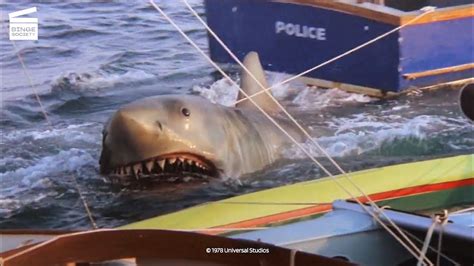 Jaws 2: Brody to the rescue HD CLIP - YouTube