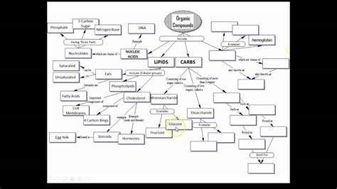 Biological Molecules Concept Map