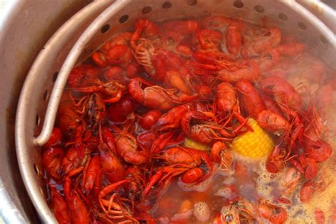 Mudbug Love: A Southern Louisiana Crawfish Boil Recipe | Ever In Transit