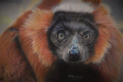 Red ruffed lemur by HendrikHermans on DeviantArt