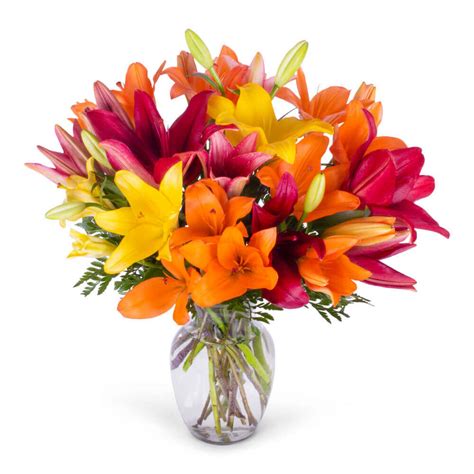 Colorful Asiatic Lily Bouquet Delivered in Houston, TX | Floral Concepts