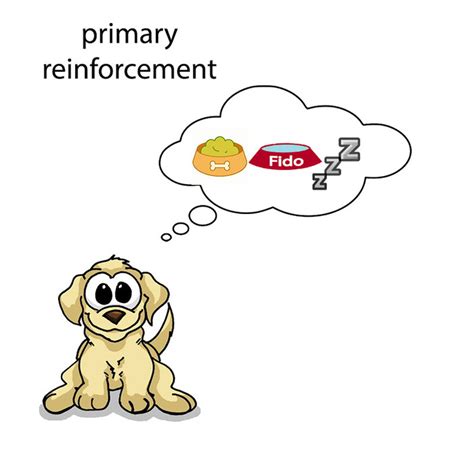 Reinforcer Psychology