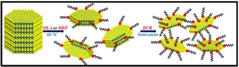 Functionalized Molybdenum Disulfide Nanosheets for 0D-2D Hybrid ...