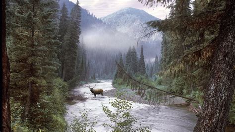 Idaho Wallpapers - Top Free Idaho Backgrounds - WallpaperAccess