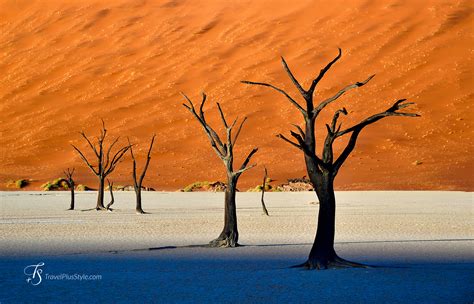 Do the world's highest sand dunes hide the most unreal sight in Africa ...