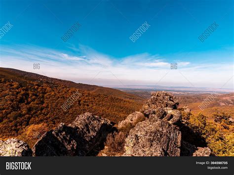 Beech Forest Mountain Image & Photo (Free Trial) | Bigstock