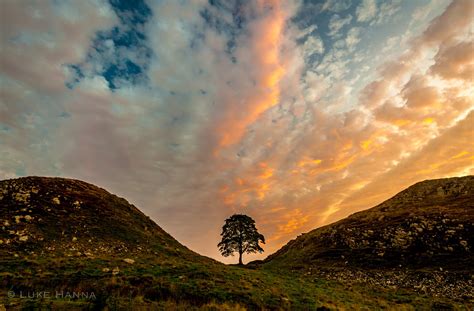 Sycamore Gap | Sunrise @ Sycamore Gap Taken just after sunri… | Flickr