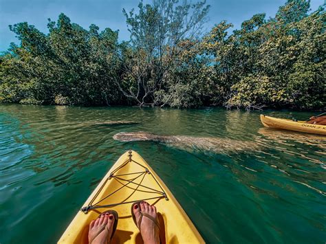 Kayak With Fort Myers Manatees at Lovers Key State Park • Amanda Wanders