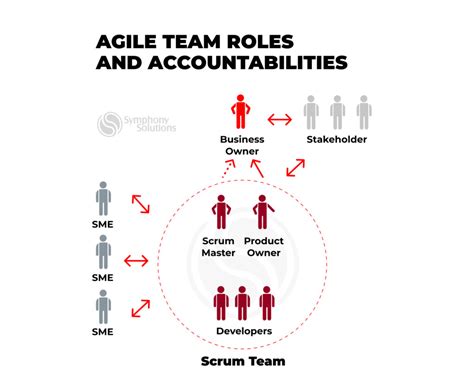 Agile Team Structure in Software Development: A Comprehensive Guide ...