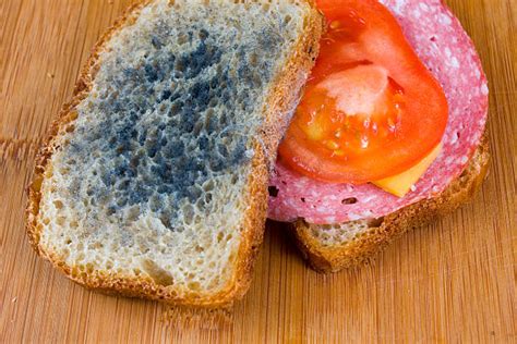 Moldy Sandwich Stock Photos, Pictures & Royalty-Free Images - iStock