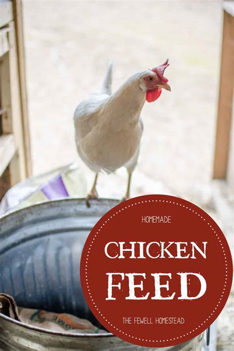 How to Make Homemade Chicken Feed - Amy K. Fewell