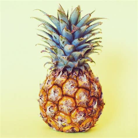 pineapple / yellow | Pineapple, Pineapple art, Pineapple yellow