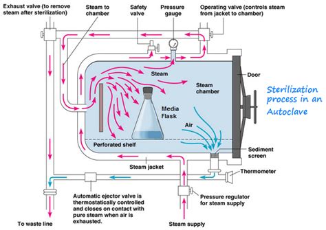 Steam Sterilization (Heating in an Autoclave) : Pharmaceutical Guidelines