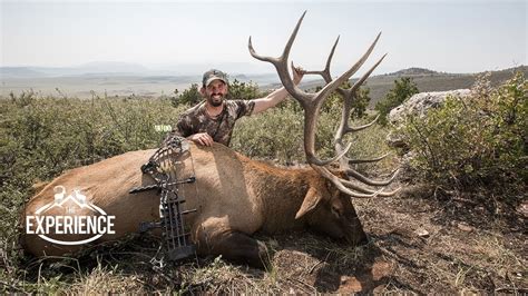 Colorado Archery Elk Hunting Experience - with Mark Peterson - YouTube