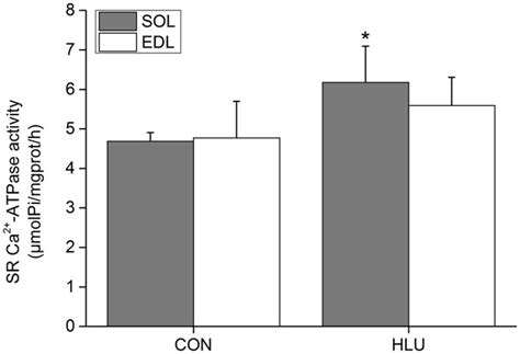 Remarkable plasticity of Na + , K + -ATPase, Ca 2+ -ATPase and SERCA ...