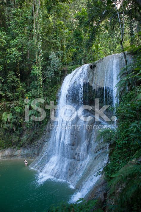 Gozalandia Waterfall Stock Photo | Royalty-Free | FreeImages