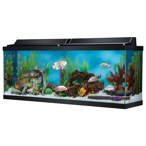 Top Fin 20 Gallon Hooded Aquarium - Aquarium Views