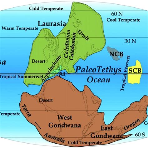 (PDF) The supercontinent cycle: A retrospective essay