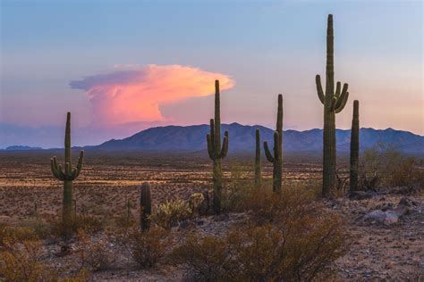 Classic Arizona Sunset at Sonoran Desert National Monument : r/arizona