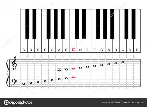 Middle Piano Keyboard Learning Aid Cheat Sheet Diagram Two Octave Stock ...