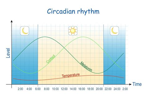 Are Your Sleep Problems Due to a Circadian Rhythm Disorder?