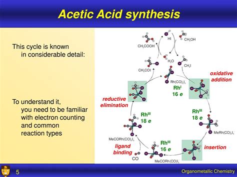 PPT - Organometallic Chemistry between organic and inorganic PowerPoint ...