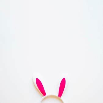 Free Photo | Cute bunny ears on white