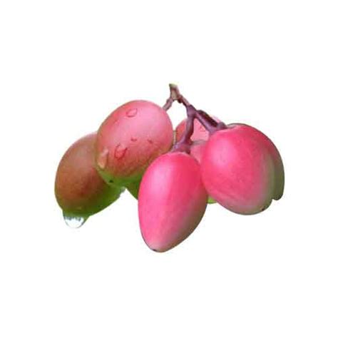 Karonda fruit | Nutrition facts-Karonda fruit | Health benefits