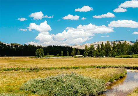 8-Day Yosemite Grand Traverse Tour with Horseback Support | 10Adventures