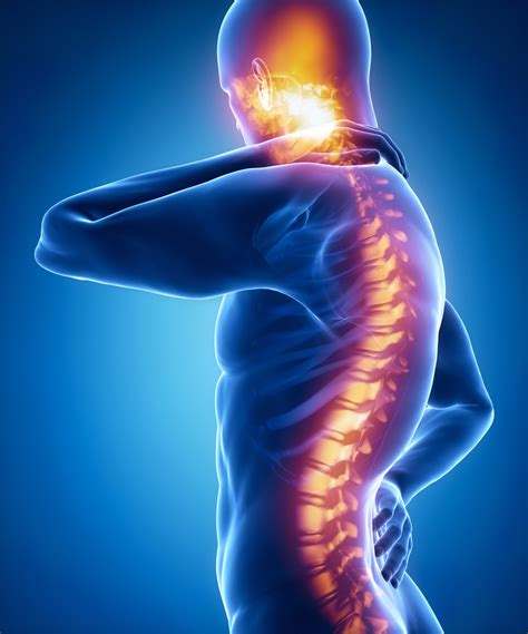 New Research in Spinal Cord Injury - Rocky Mountain Brain and Spine ...