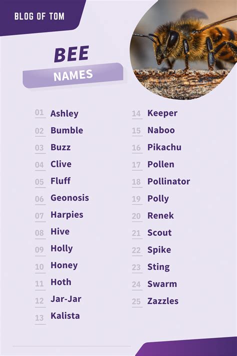 Bee Names (199+ Best, Cute & Funny Naming Ideas)