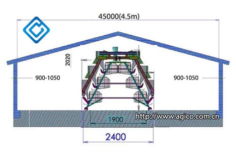 Poultry House Plans for 1000 Chickens, Layer Poultry House Solution Supply