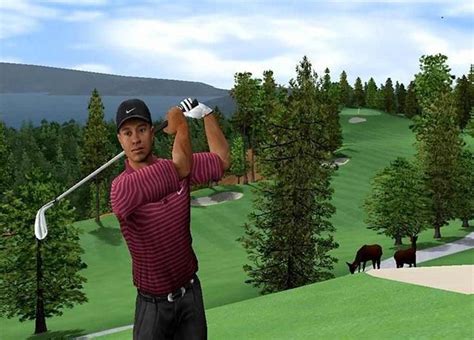 Tiger Woods PGA Tour 2005 Download Free Full Game | Speed-New