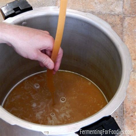 The Beer-Making Process: A Step By Step Guide - Fermenting for Foodies